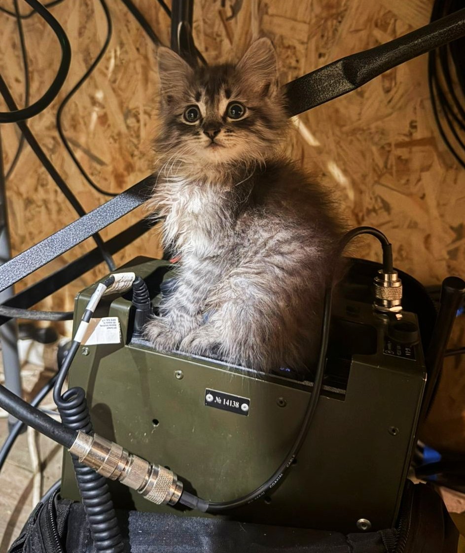 НЕ БІЙТЕСЬ МОБІЛІЗАЦІЇ !!!

Далеко не всі потрапляють в піхоту та штурмовики.

Наприклад, цього бійця після навчального центру розподілили радіотелефоністом в штаб.