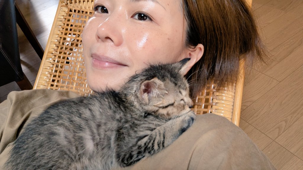 本日は定例会✨

お休みにちびちび(子猫)に癒してもらったので今日も頑張ります(´^∀^｀)ｳﾋﾋ…

1匹だけ残ってる♂ちびちび。