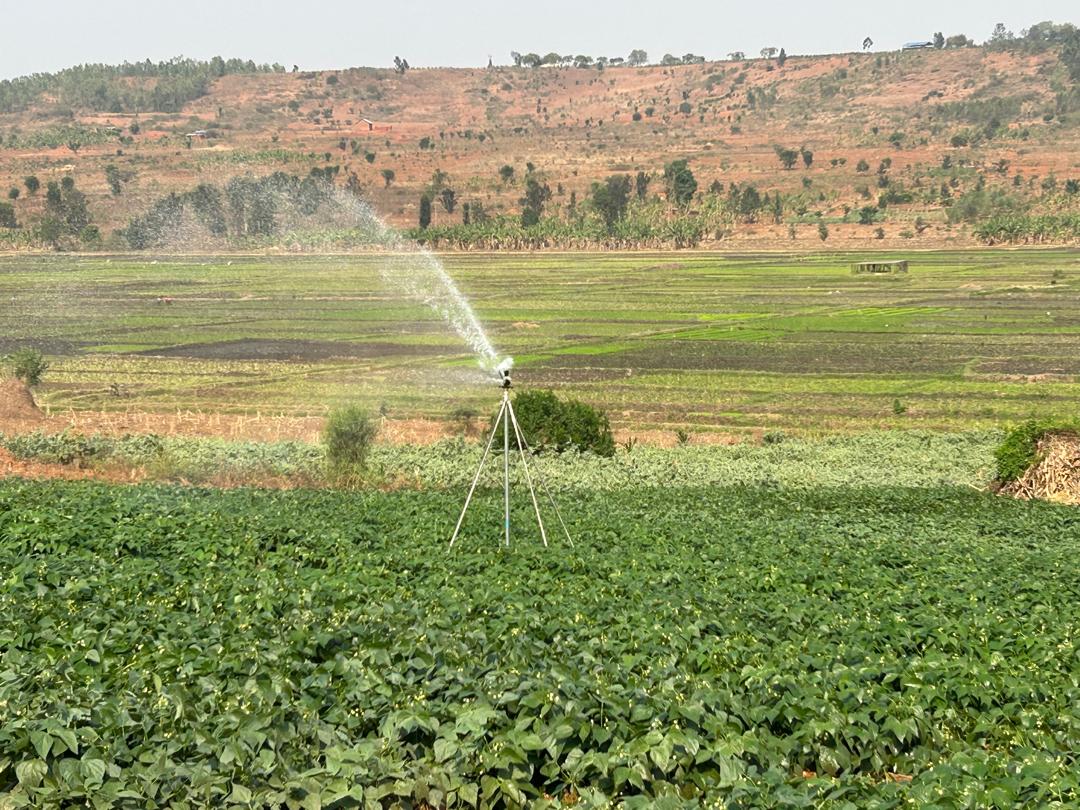 AlexisNyandwi12's tweet image. Transforming Farming in Kayonza with #SAIPII

During our media tour in Kayonza, we witnessed how the Sustainable Agriculture Intensification and Food Security Project II, funded by @GAFSPfund through @WorldBank, is revolutionizing irrigation access for farmers.

At #BIEC Ltd,…
