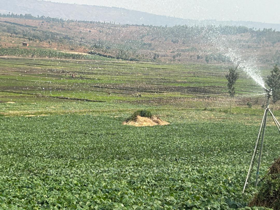 AlexisNyandwi12's tweet image. Transforming Farming in Kayonza with #SAIPII

During our media tour in Kayonza, we witnessed how the Sustainable Agriculture Intensification and Food Security Project II, funded by @GAFSPfund through @WorldBank, is revolutionizing irrigation access for farmers.

At #BIEC Ltd,…