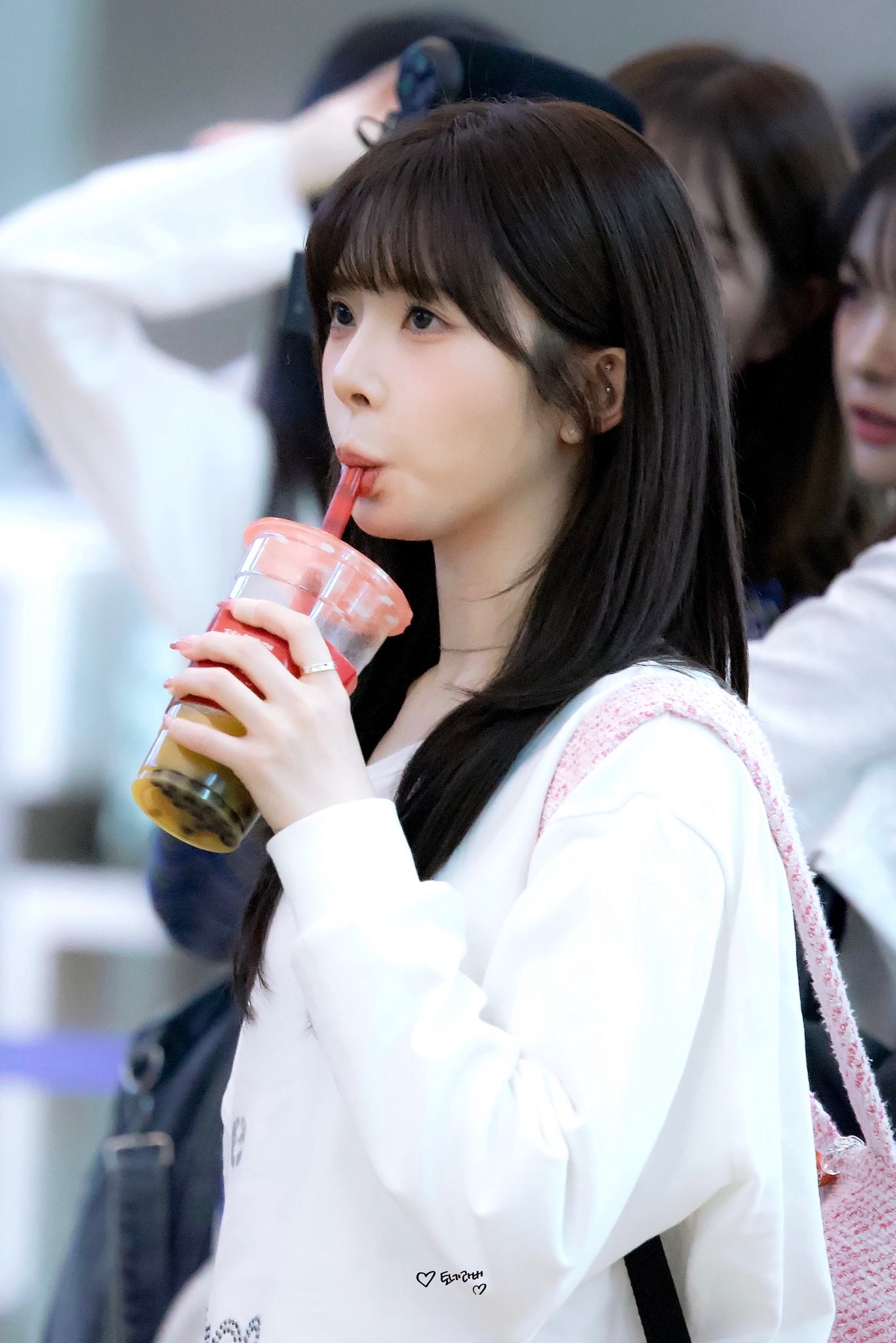白鷺琴音 🍺