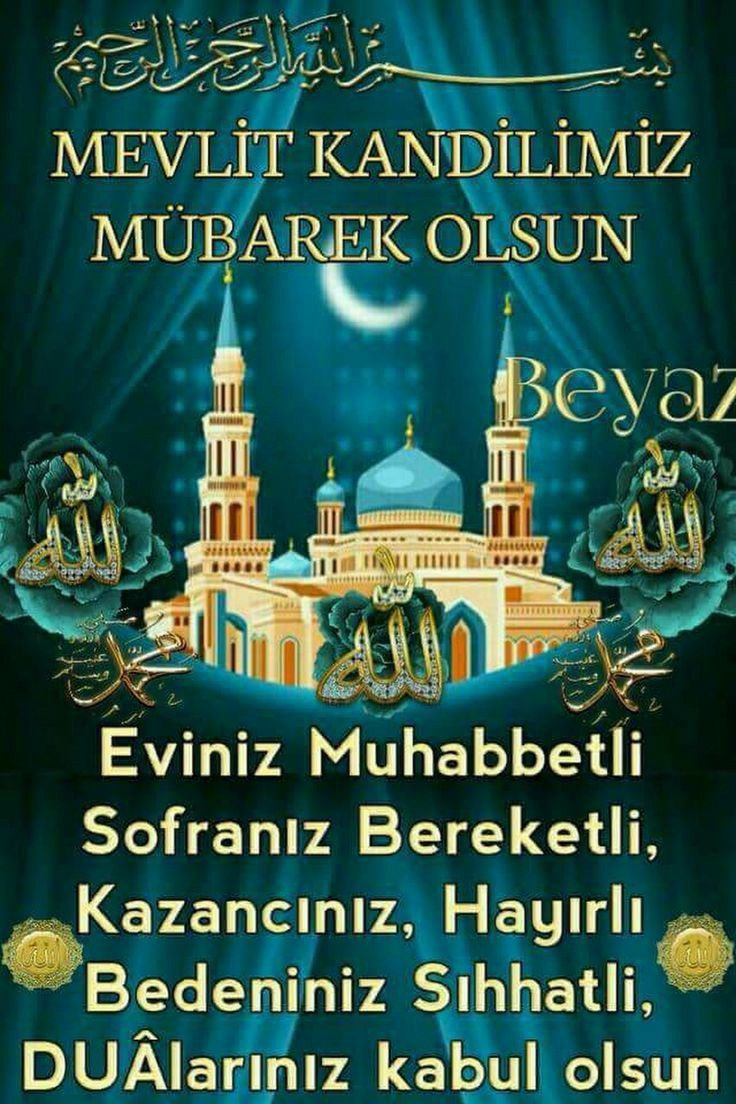 ridvanacar5's tweet image. 