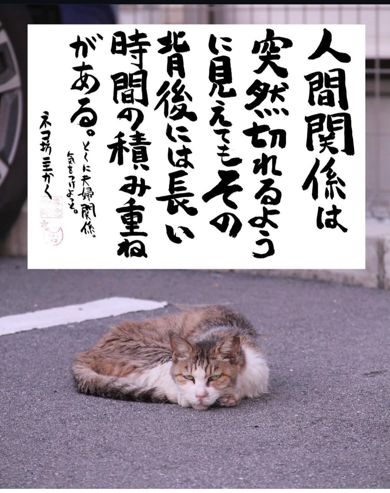 ネコママ 必ずプロフ読んで下さい様 ネコママ プロフ必読して下さい様♡リクエスト 4点 まとめ商品