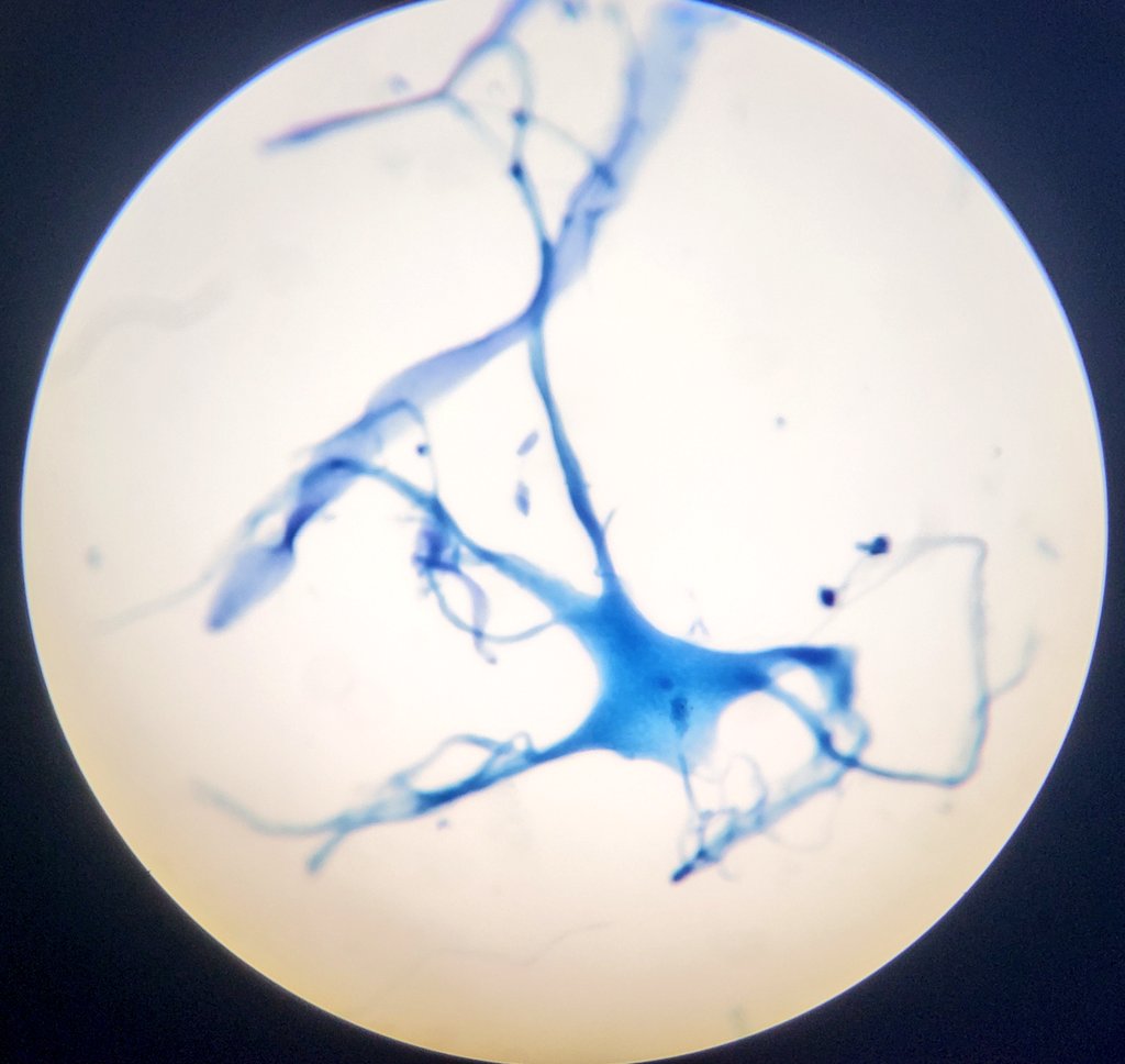 Julien Cabioch tweet media