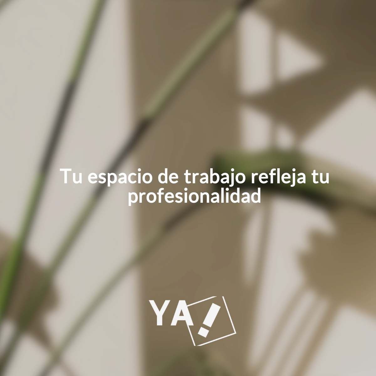 Tu espacio refleja tu profesionalidad.
Este septiembre, recibe a tus clientes en un entorno que transmita confianza y seriedad.
En Oficinas YA! ponemos a tu disposición:
✔️ Salas de reuniones
✔️ Despachos privados
✔️ Oficinas virtuales
🔗 oficinasya.es