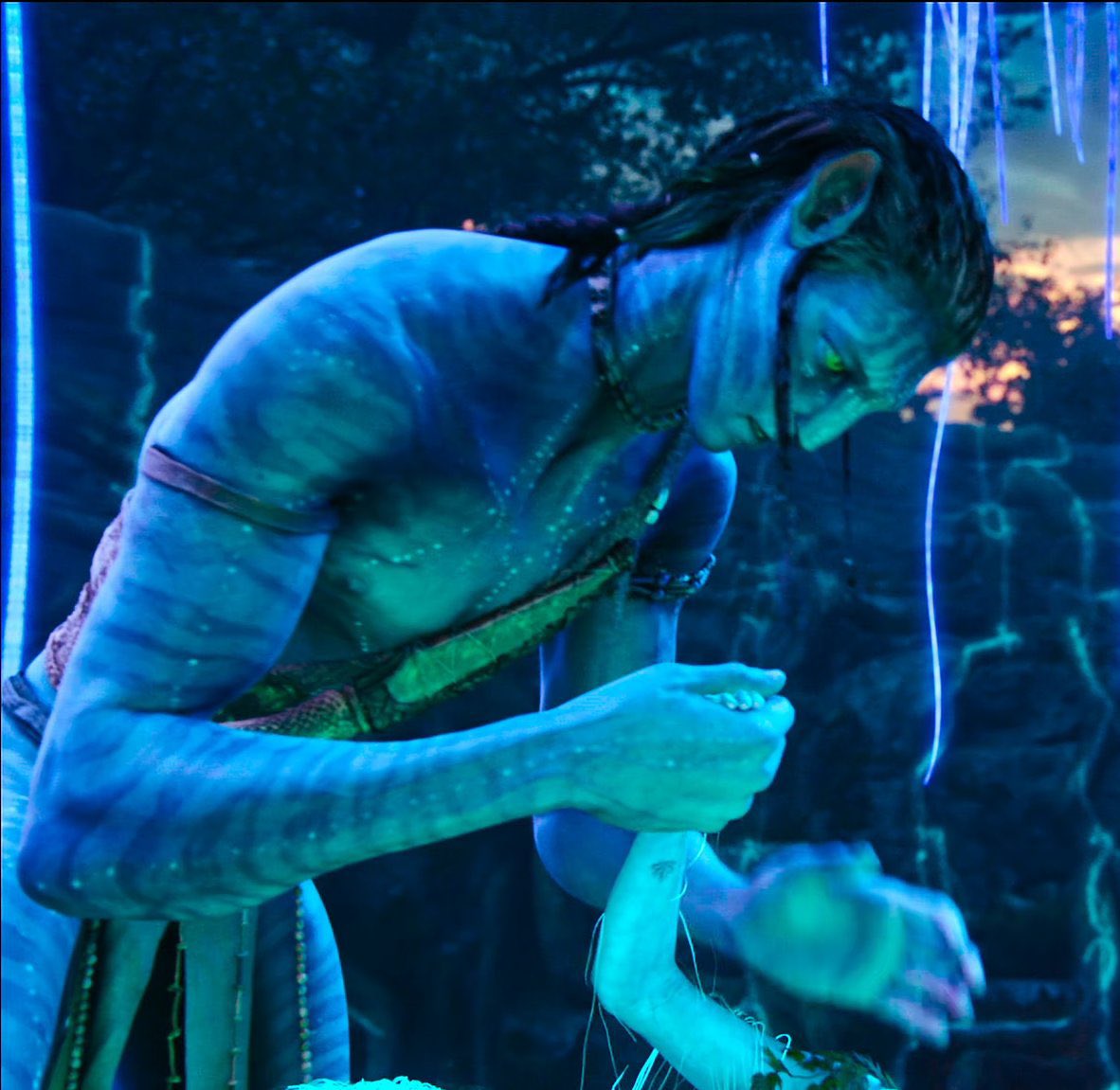 아니이구도ㄹㅇ 자기 인간여친손꼭잡아주는나비같아서설렌듀아