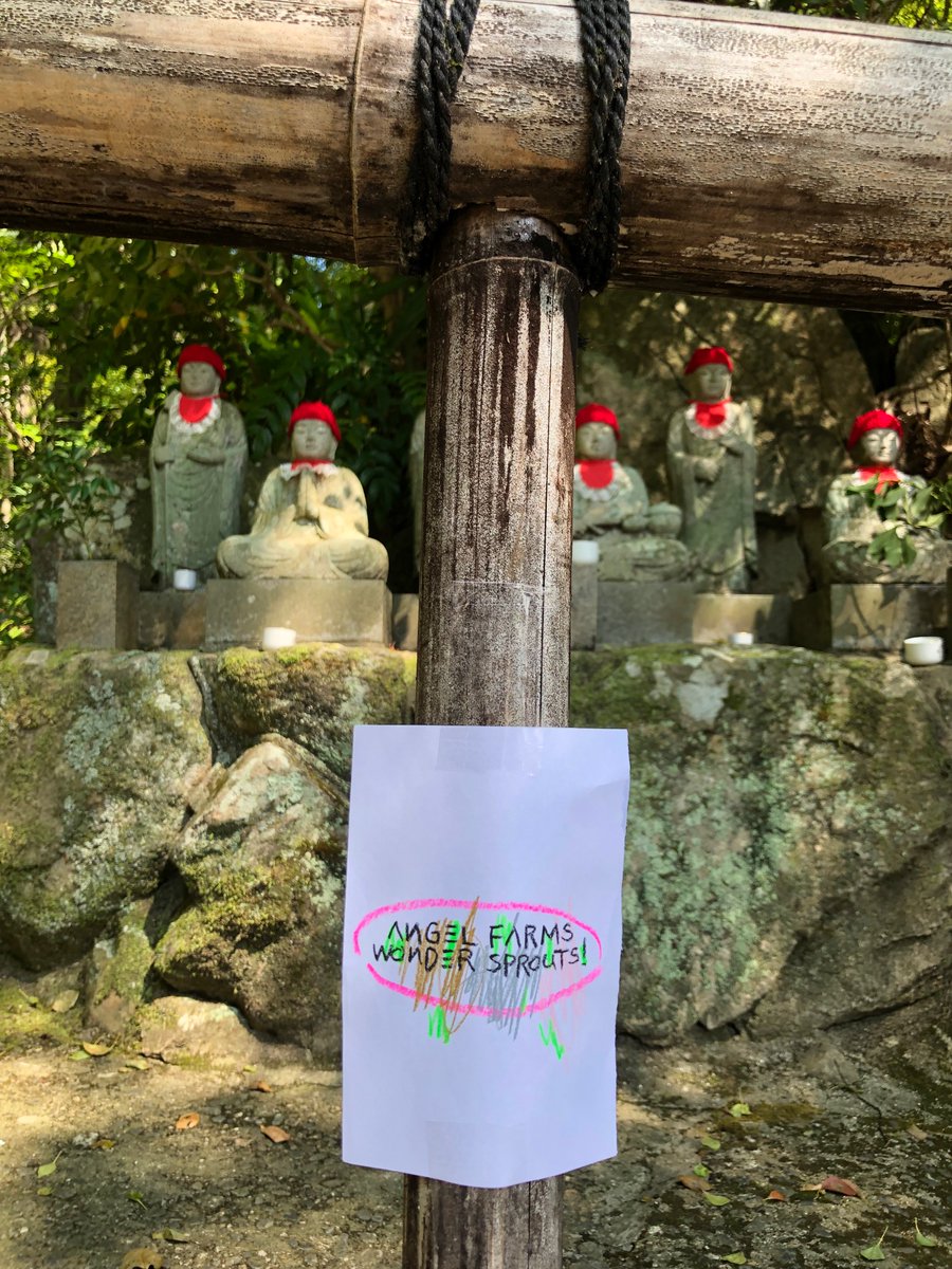 Angel Farms
Wonder sprouts!