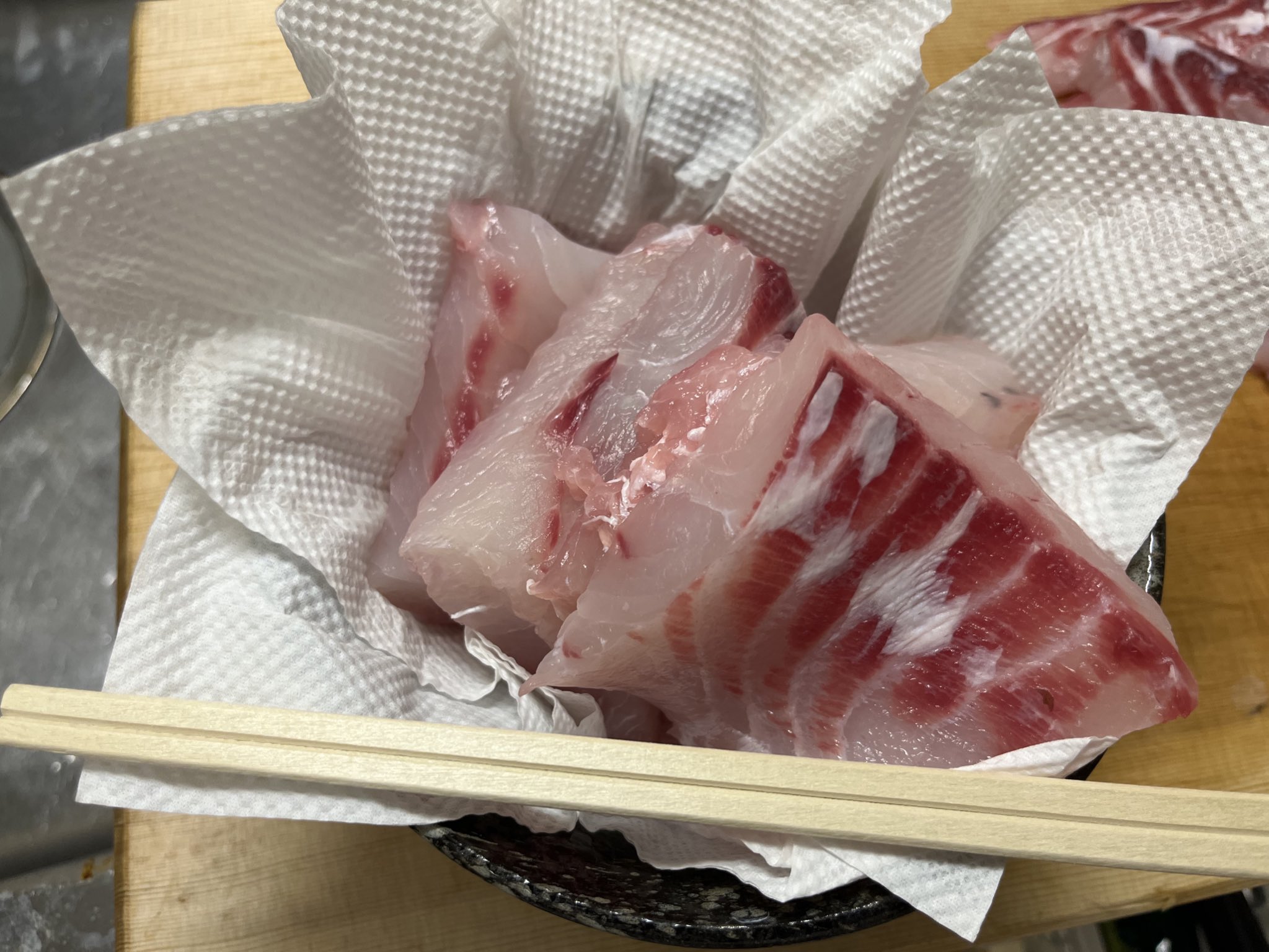 銀製熱帯魚 銀鱗東錦ST 16cm | 金魚・熱帯魚専門店 AquaPro.H