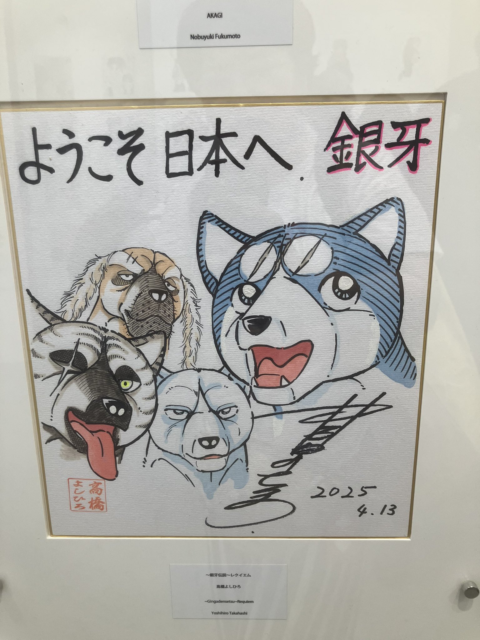 銀牙X（非公式） (@unofficialginga) / X