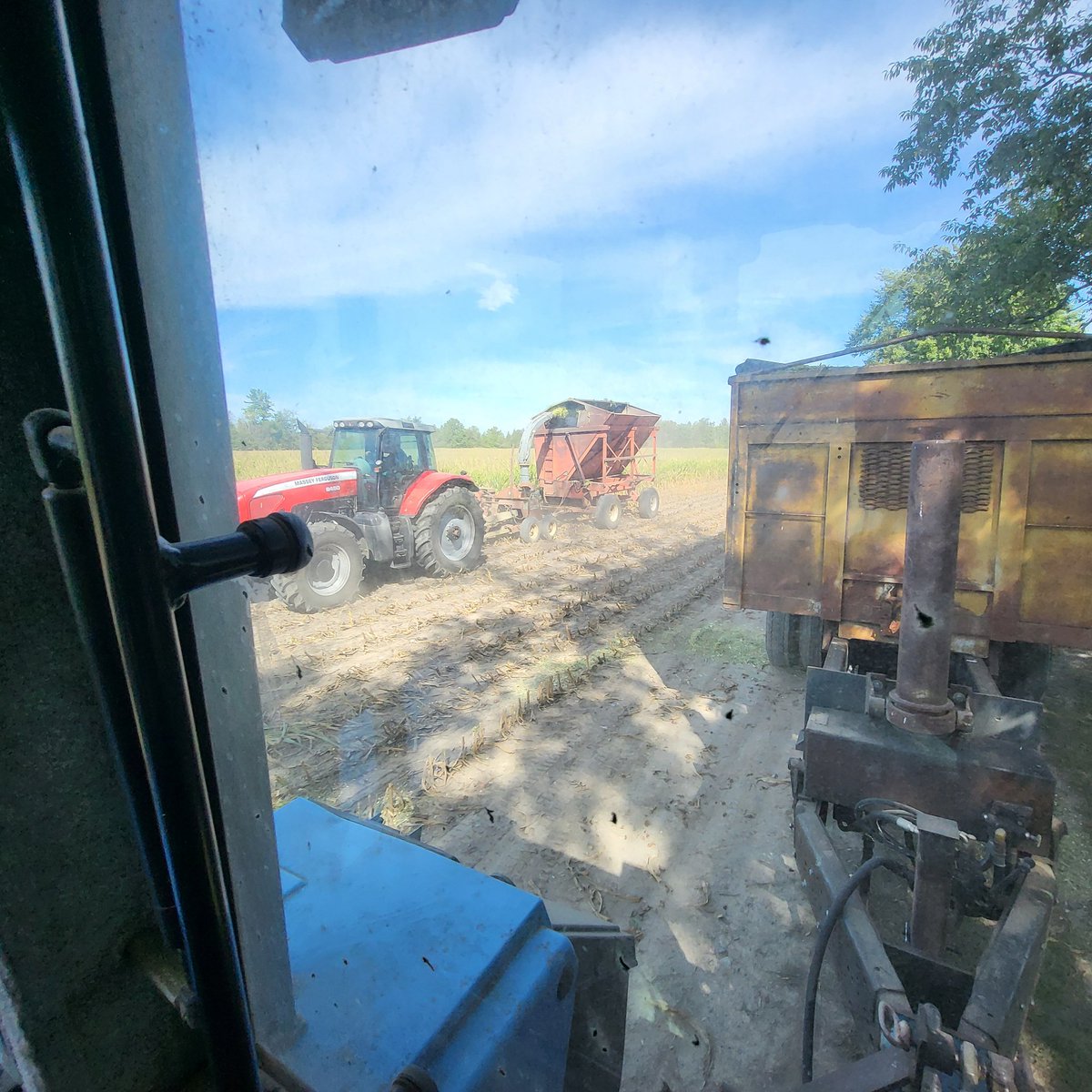 Taking grain corn for silage in drought stricken Hastings County.