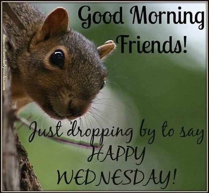 jonathan_shen7's tweet photo. Good morning, everyone! 😀 #goodmorning #happywednesday #shortweek https://t.co/gzClgp9Vg3