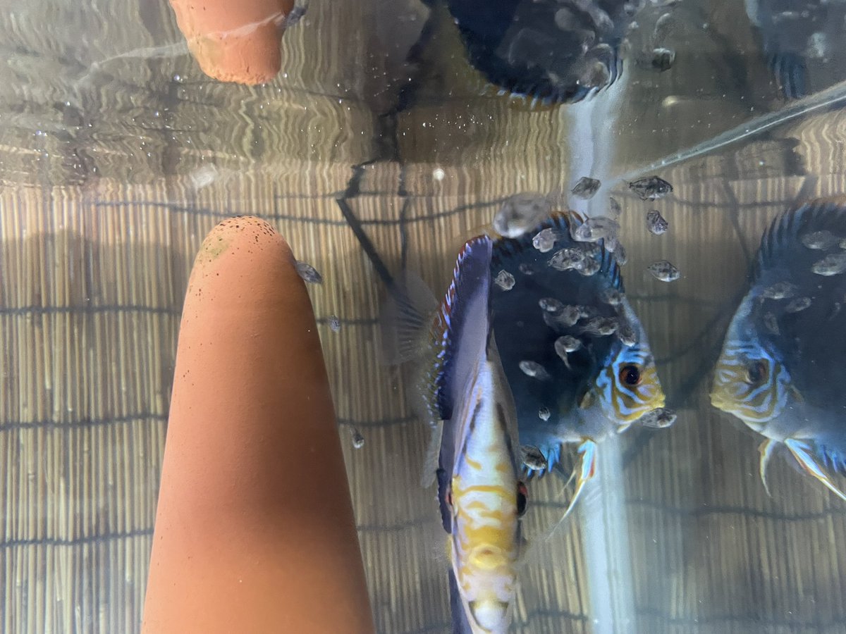 だいぶ成長しました。