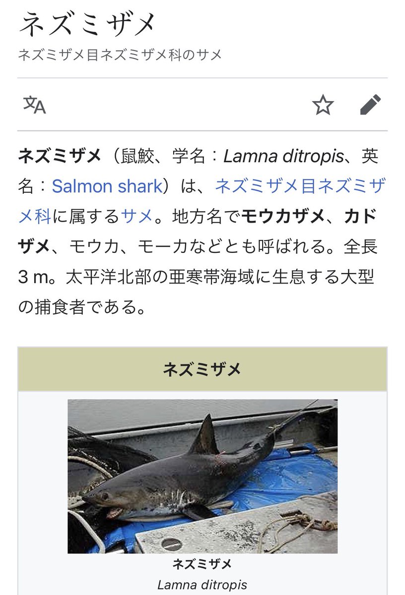 boutsu08's tweet image. 今日の晩御飯の煮物がこいつなんだけど、日本の海一帯を高速で泳ぎ回る3メートルの捕食者は怖すぎる。白ご飯が進む。