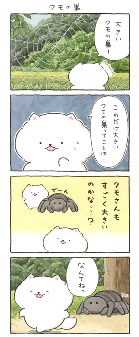 クモの巣🕸️ 