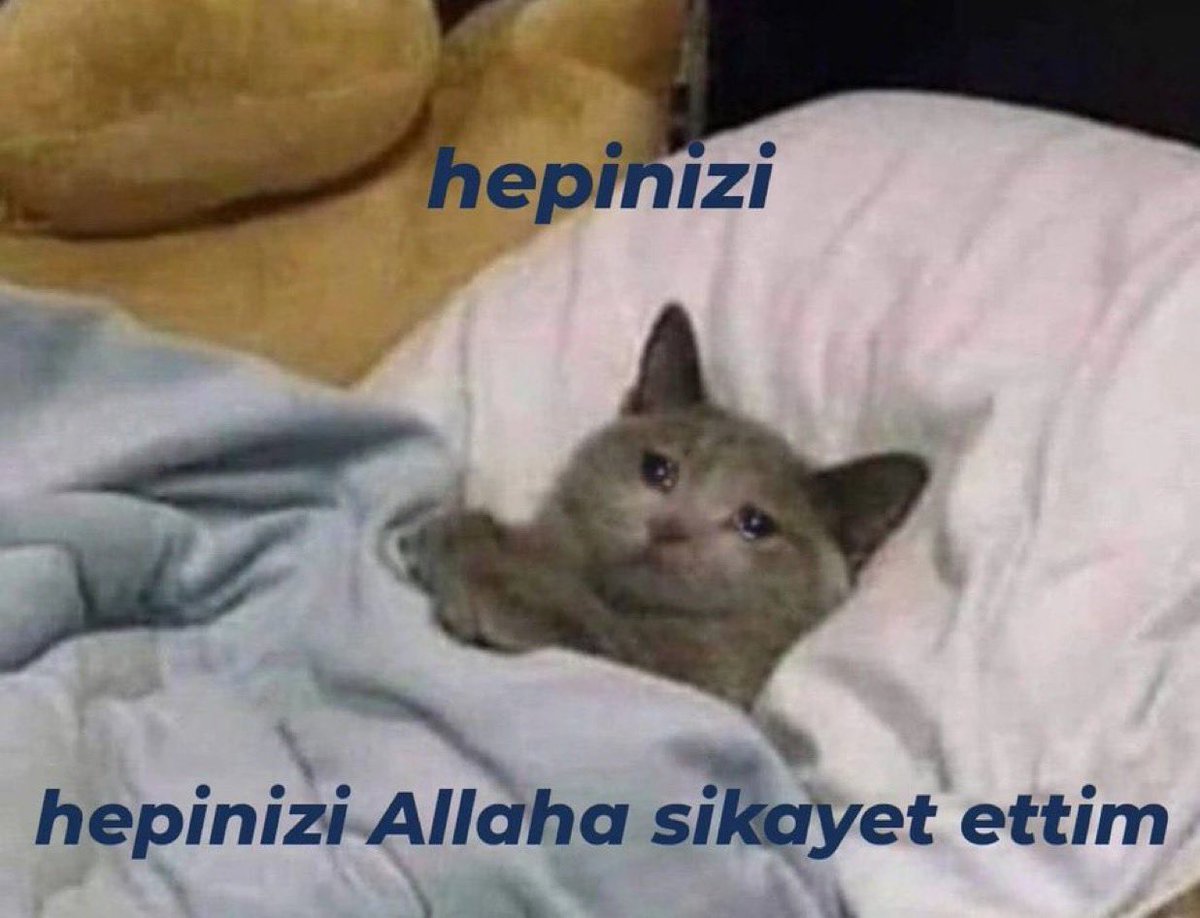 kandil özel