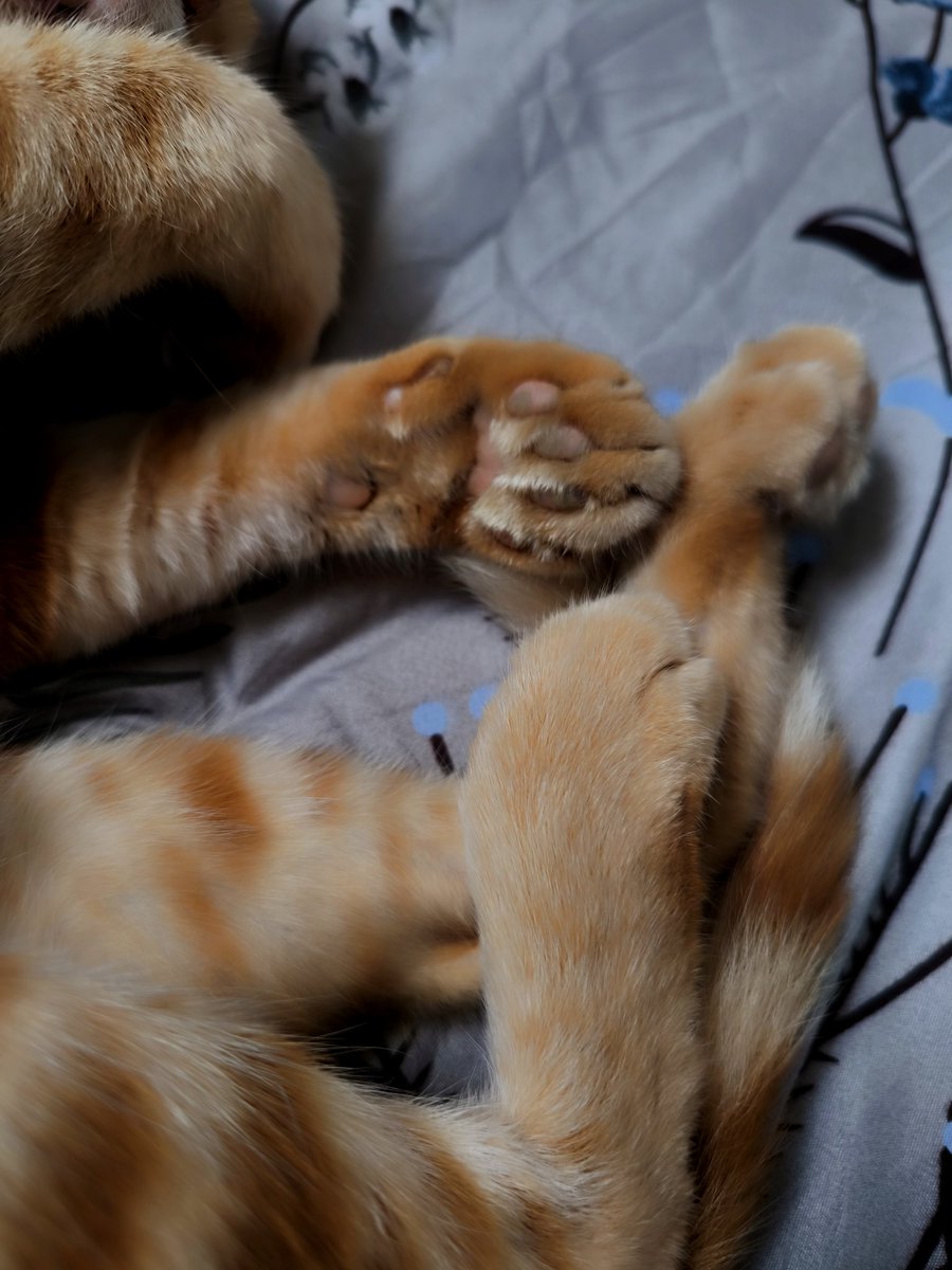 me when he sleeps🧑🏽 📸🤳🏽