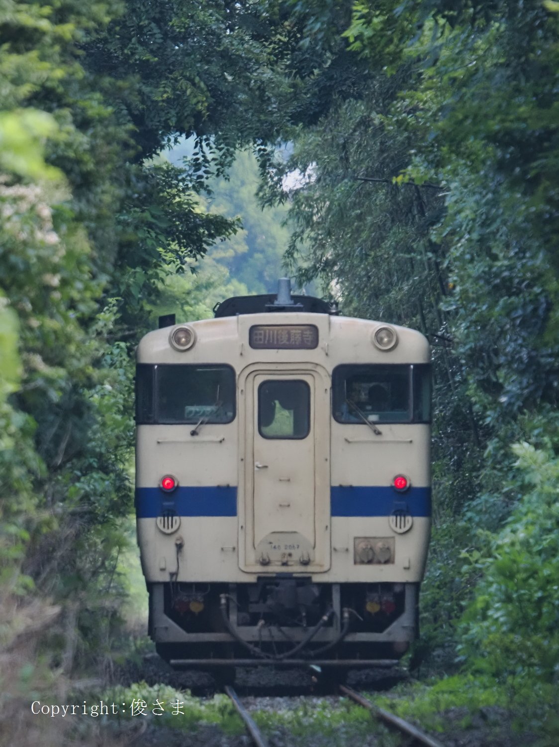 12.森のトンネル 粟倉隧道(静岡県周智郡森町) #隧道 #トンネル #tunnel #туннель