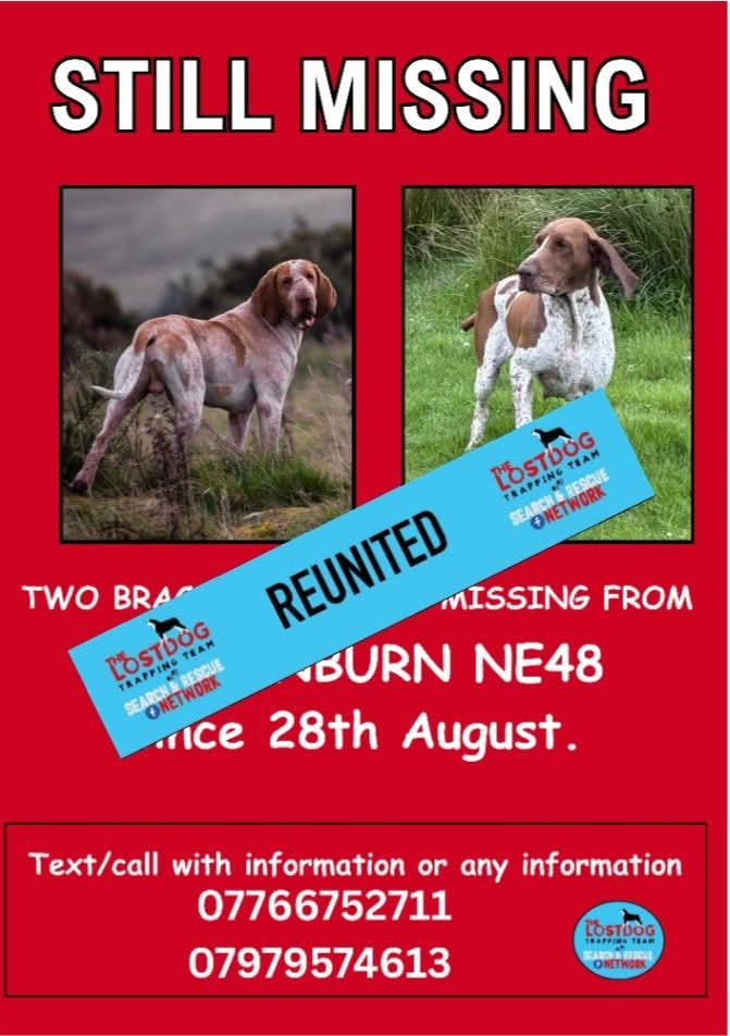 Double good news!! 🏡🏡 BOTH BILLY WHIZZ AND BONNIE #REUNITED SAFE❤❤❤