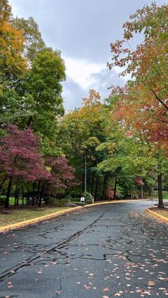 عليا (@aliasweden1) on Twitter photo 