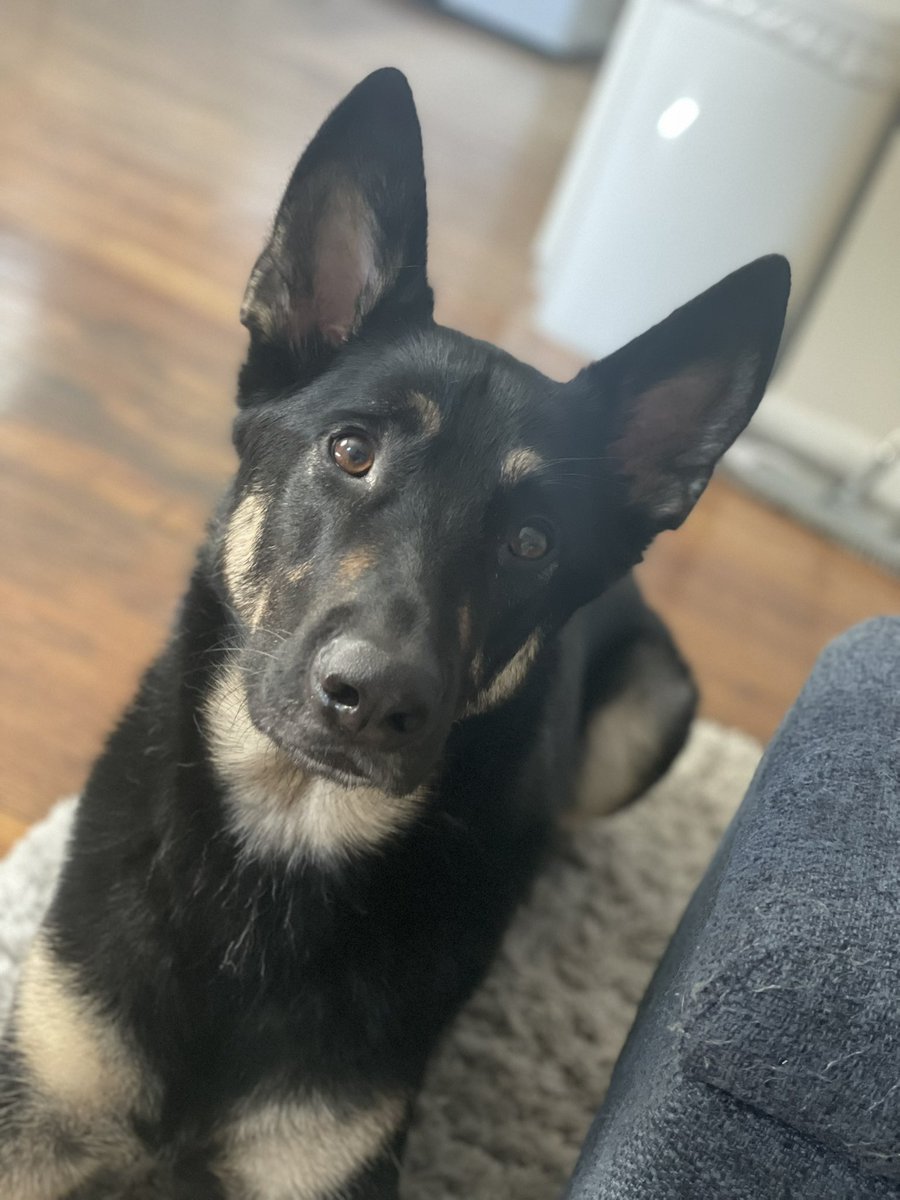 ThatOneErica tweet media