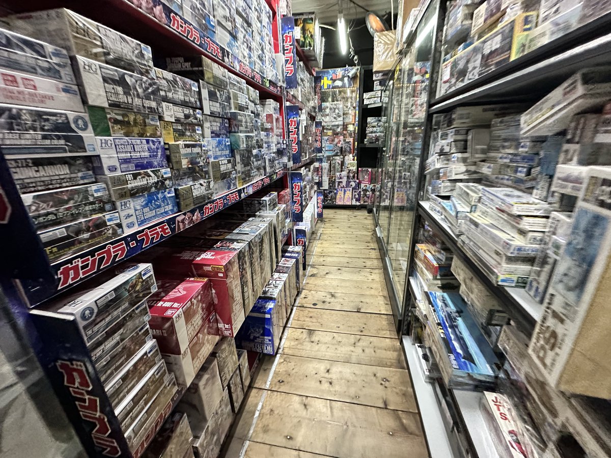 遊びに来た！