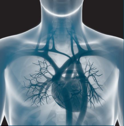 Join us for the 29th Annual Heart Lung Vascular Update for the Primary Care Provider on Nov 7, 2025. This one-day conference will highlight the latest advances in cardiovascular &amp; pulmonary care with practical updates for your practice. Register now: com.utmck.edu/cme/courses/HL…