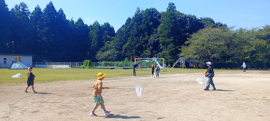 iLab_kids's tweet photo. \\ 体験教室を実施しました！ //

君原小学校1・2年生を対象に、
「秋の虫さがし」をおこないました。

講師は筑波大学の藏滿司夢先生（@Tremibalia）とその学生さん。
詳細は後日upします✨
️
今日もたいへん暑い日でしたが、
ありがとうございました！

#茨城県 #阿見町 #アイラボキッズ #体験教室 https://t.co/IIzD9jUs0C