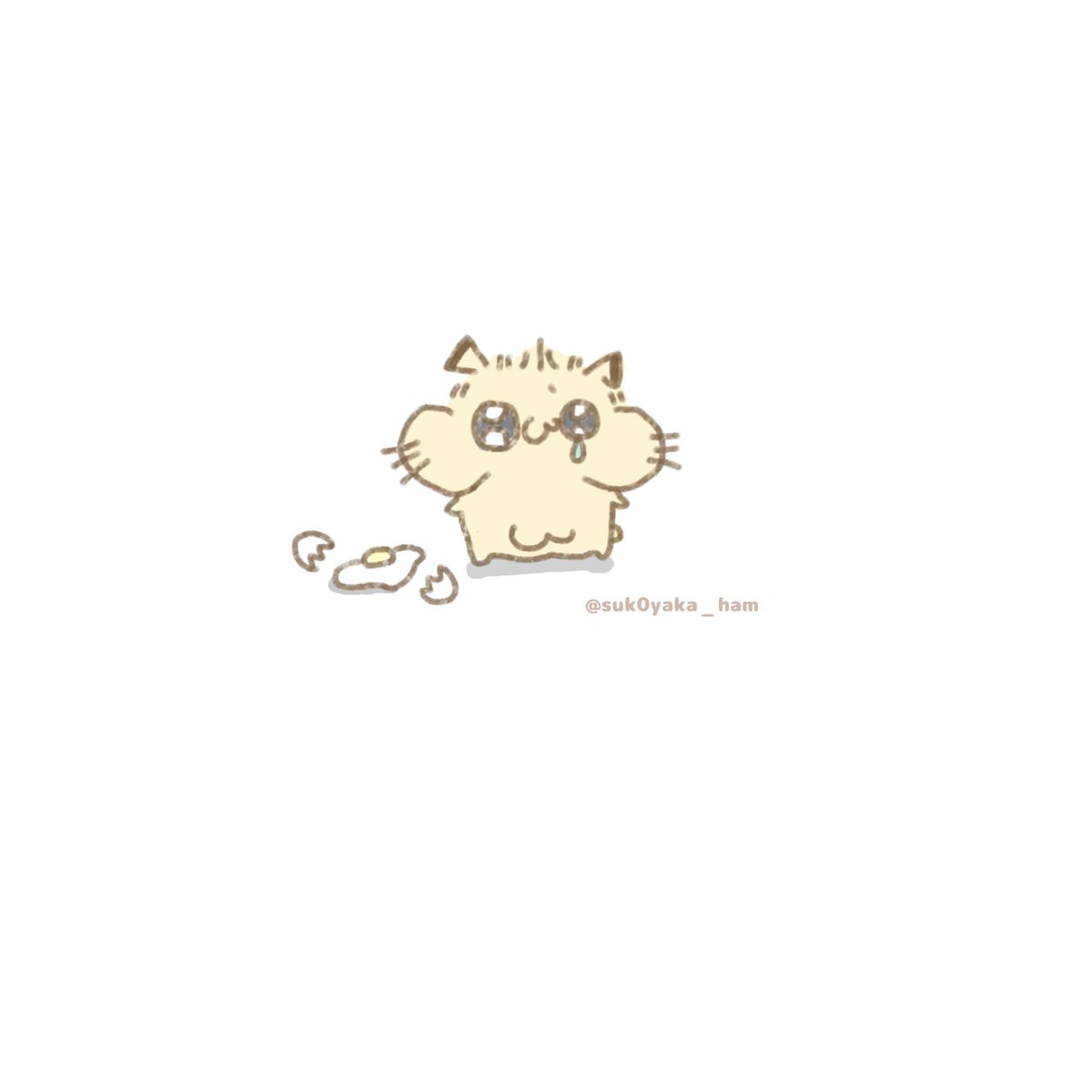 ぇん

#ﾁﾎﾟﾊﾑ
