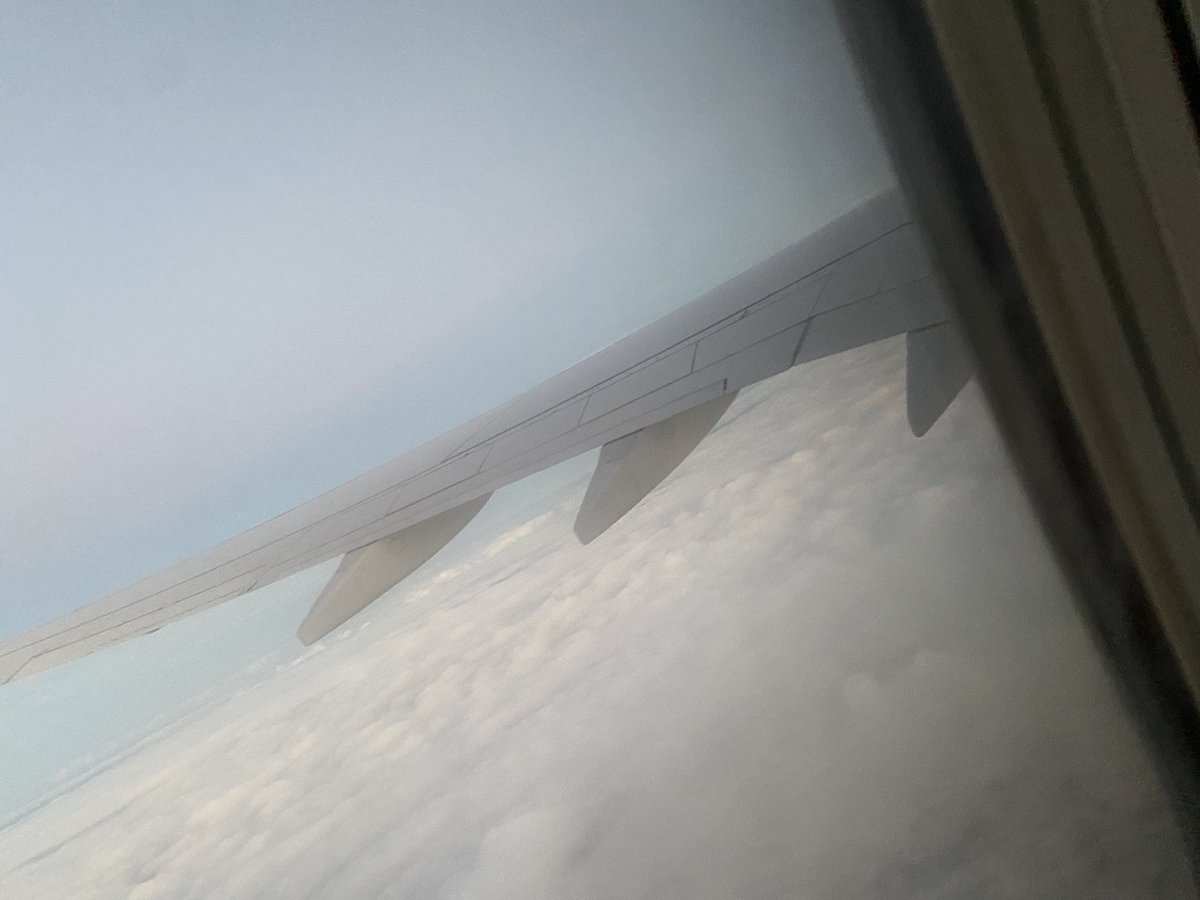 Hamster 🐹 ou algo assim