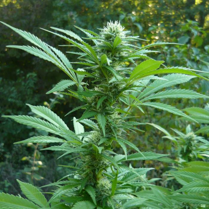 Have a great day all