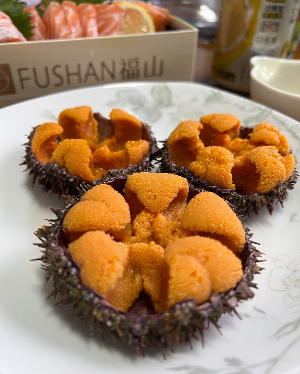 liuweny72668944's tweet image. 8月的大连海胆超美味，明年还要去！
＃seaurchin