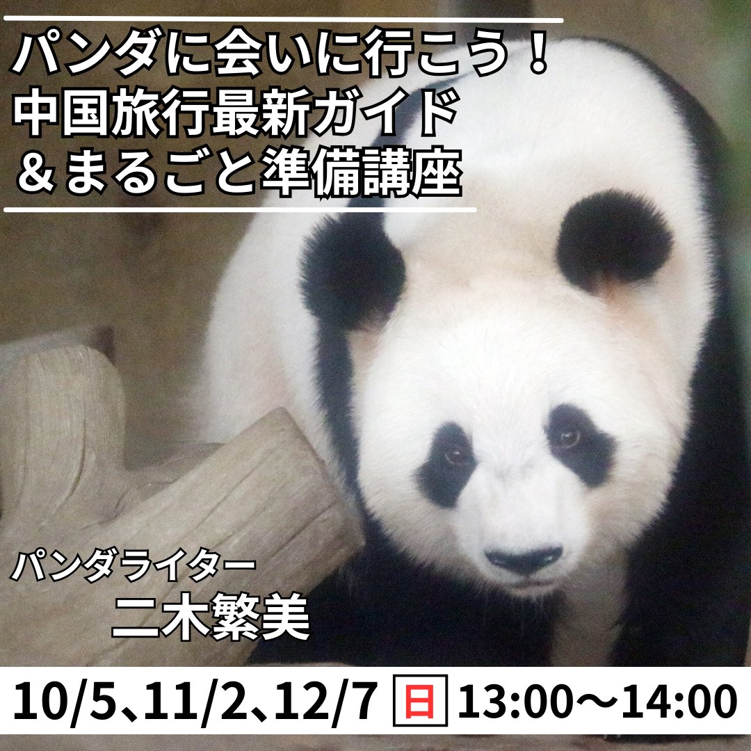 sakae_cc's tweet image. 10月新講座「パンダに会いに行こう！」
ホテルや航空券の手配から、持って行くべきものや注意点などを解説。講師が今年6月に訪中した際の最新情報や写真、パンダたちの近況なども。初めての方、久々に行くという方もぜひ！
詳細は▶x.gd/KhKHD
#中日文化センター #パンダ #二木繁美