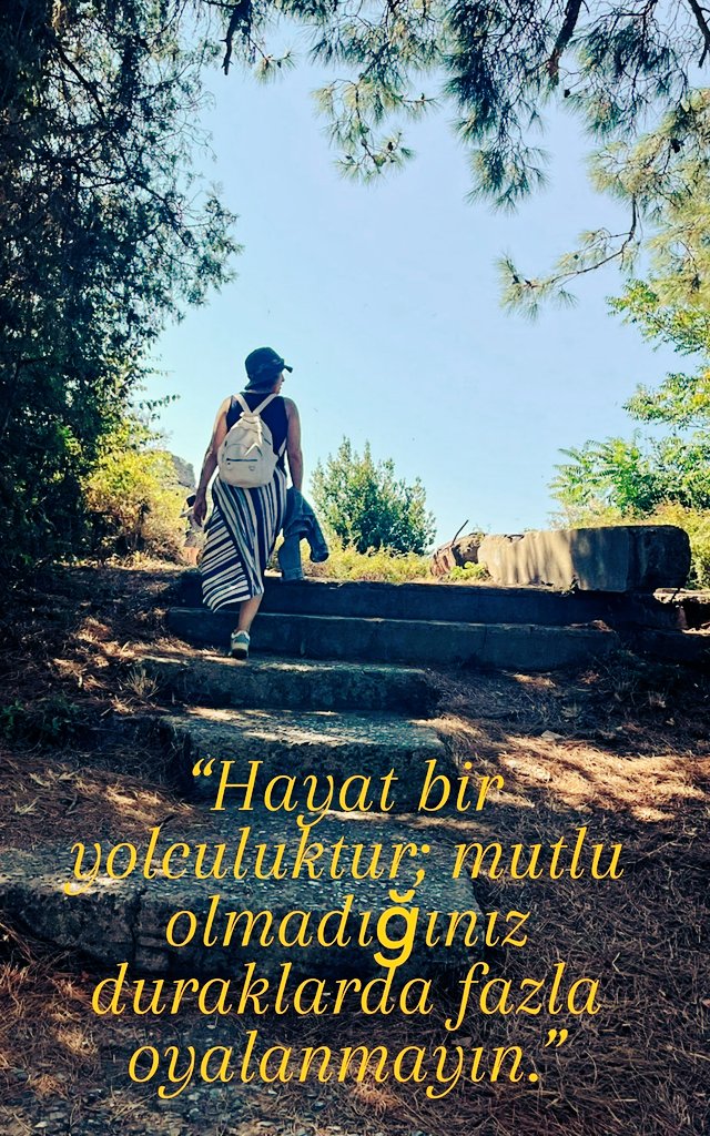 🌺🌲