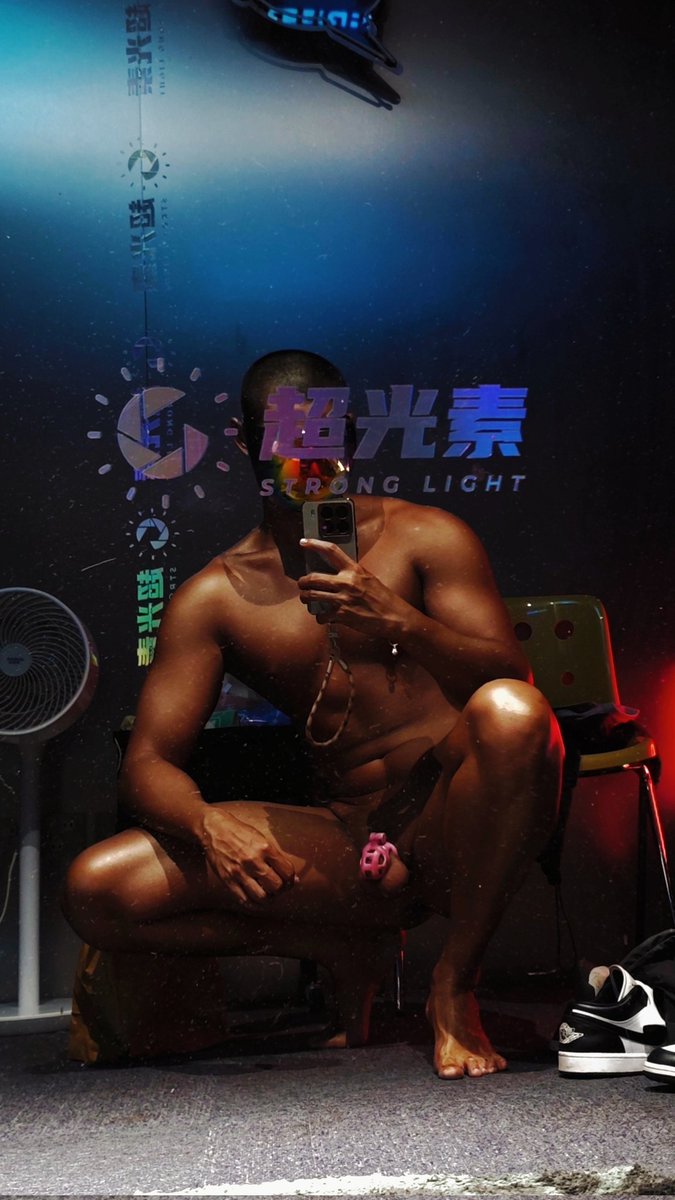 小柴犬 tweet media