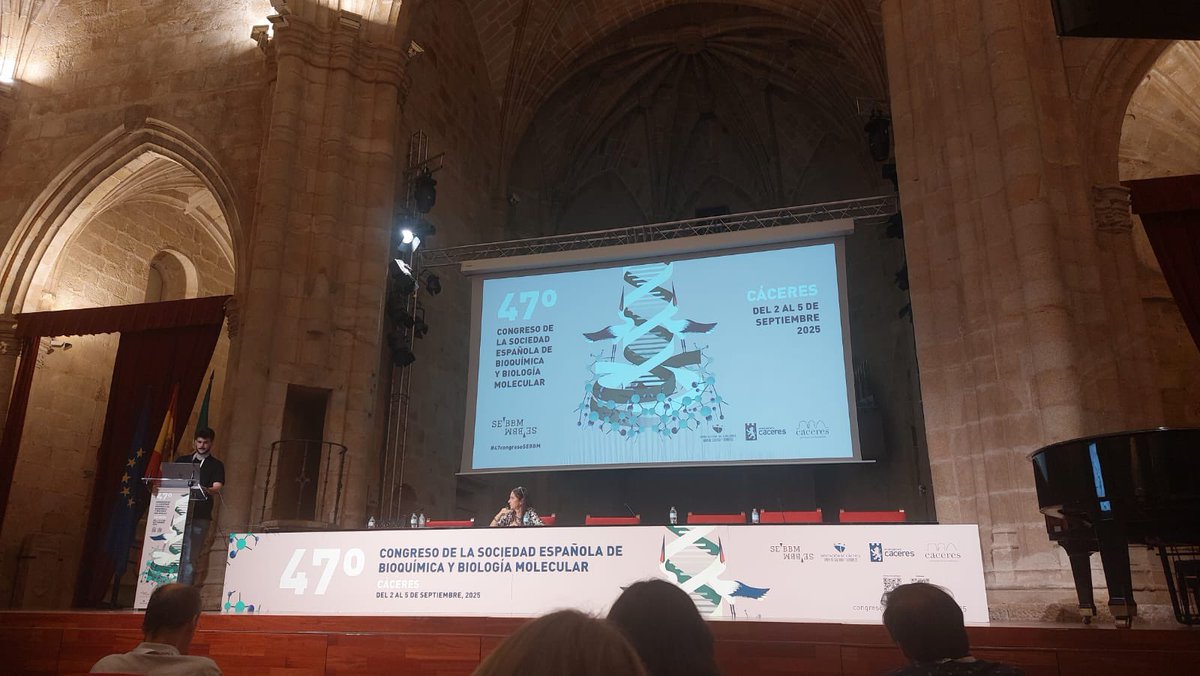 EvaGalanMoya's tweet image. Our super Alex Pinedo is at the #47congresosebbm presenting part of this thesis work done in Germany under the supervision of @Mery_PipiS…and he nailed it! #ProudPI 
@contracancerINV @uclm_es @SEBBM_es