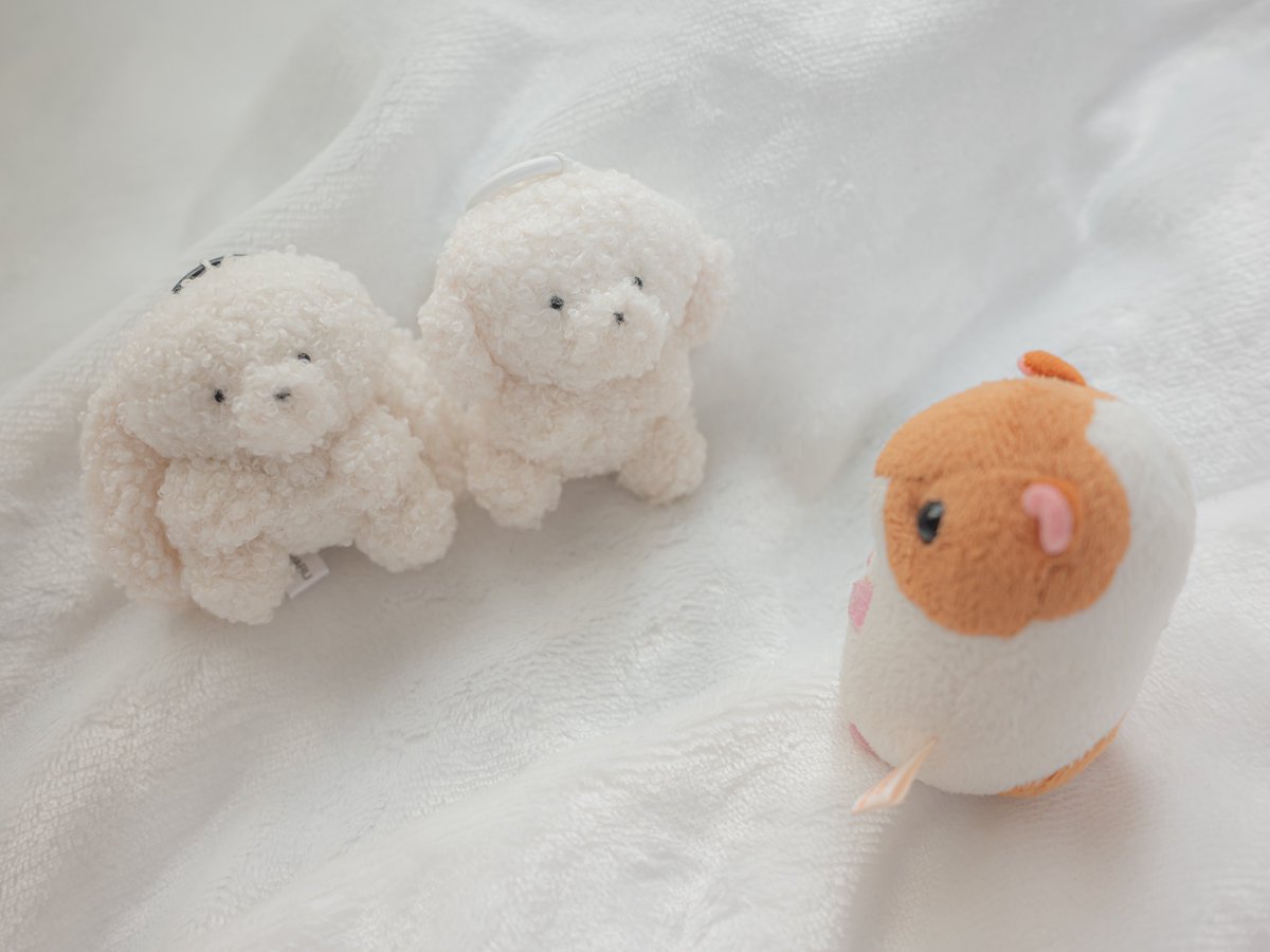 こんにちわ〜☁🫧🤍