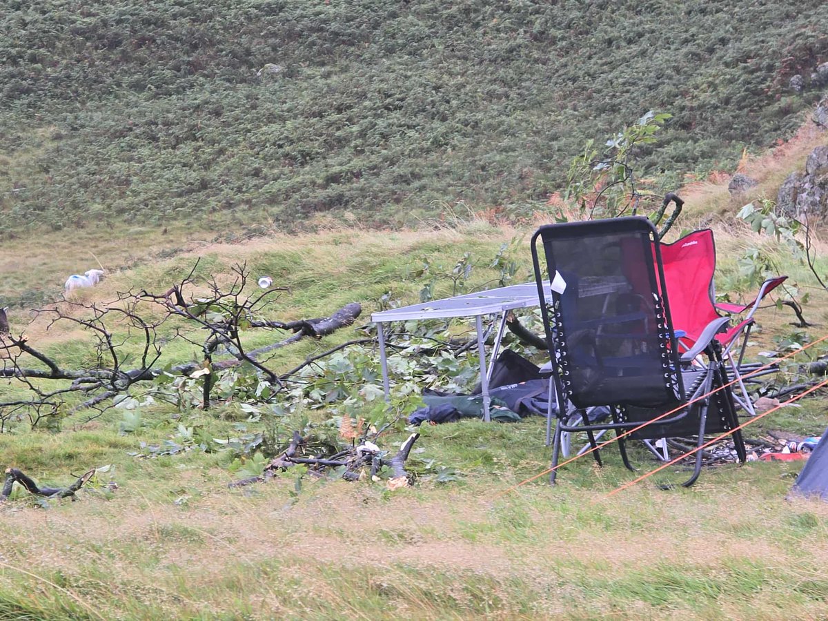 Terry Abraham tweet media