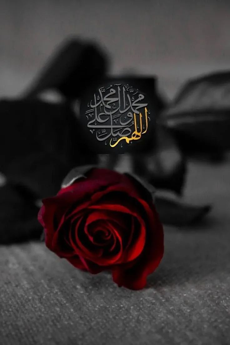 "
"
Bu mübarek Mevlid Kandili;
Kalplerimize huzur, duâlarımız kabul, hayatımıza bereket getirsin.
Rabbim bu gecenin hürmetine bizleri affına, rahmetine, Habibine (s.a.v.) komşu olanlardan eylesin.🤲

Kandilimiz mübarek olsun
"
" 
#MevlidKandili
#vuslat