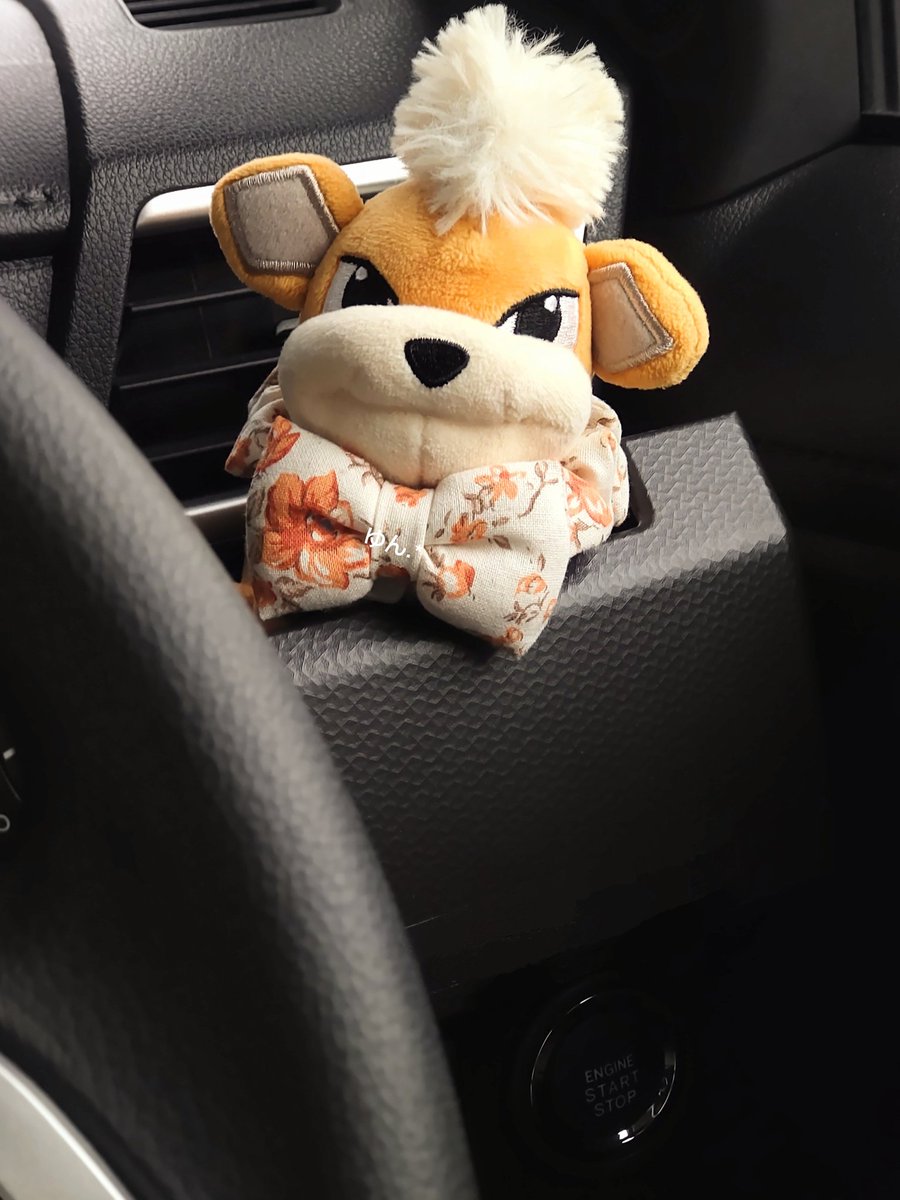 ちょっと！その眼差しはイケメンすぎるよ！ こたろ！！♡
きゃーっ❤️
残念ながらお出掛けじゃなくて こたろ 今からパパを迎えに行くよ笑
#ポケモンfit