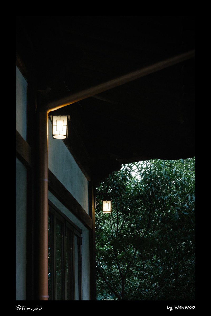 With a camera, the world slows down. A reflection, a chipmunk, a bird by the water, a lantern at dusk.. ordinary scenes that quietly hold beauty. Photography reminds me to listen to the silence in between moments and keep the peace they carry.