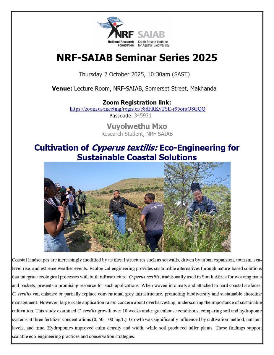 Join Vuyolwethu Mxo for a seminar series talk titled "Cultivation of Cyperus textilis: Eco-Engineering for Sustainable Coastal Solutions"

Date: 02 October 2025
Time: 10:30 AM (SAST)
Venue: NRF-SAIAB Lecture Room
Zoom Registration Link: zoom.us/meeting/regist…
Passcode: 345931