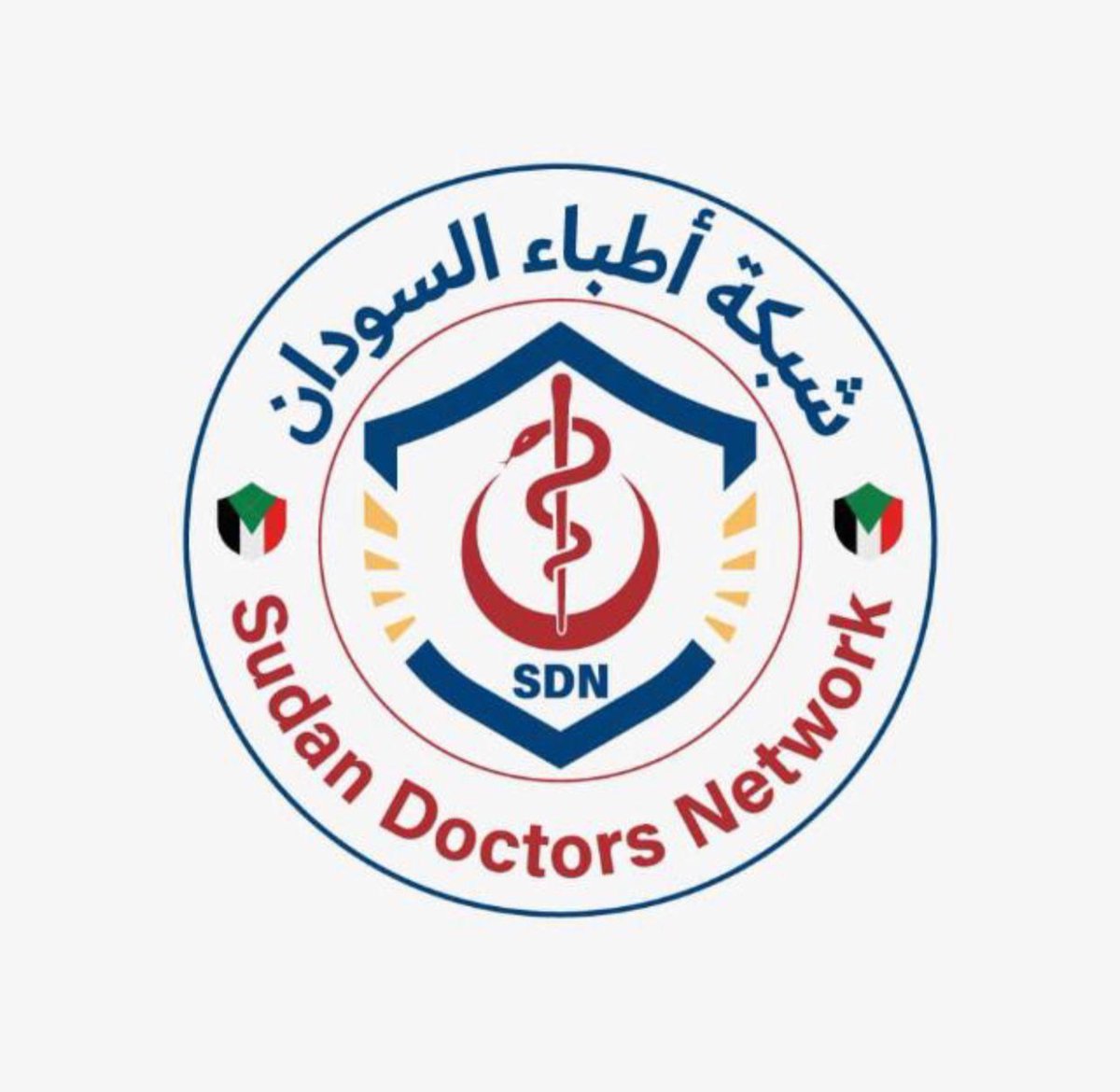 The deliberate shelling of residential areas, along with the siege and starvation of more than half a million civilians by the Rapid Support Forces in El Fasher, the capital of North Darfur State, is nothing less than genocide, meeting the legal definition set forth in Article II