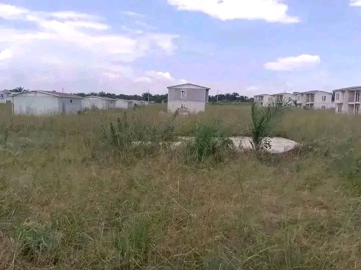 kabaclet's tweet image. Nous réclamons le réouverture du #procès 100 jours.
Nous devons savoir où sont passés les millions destinés aux maisons préfabriquées, parce que jusqu&apos;à maintenant l&apos;objectif n&apos;a pas été atteint.
Les chantiers sont restés inachevés.