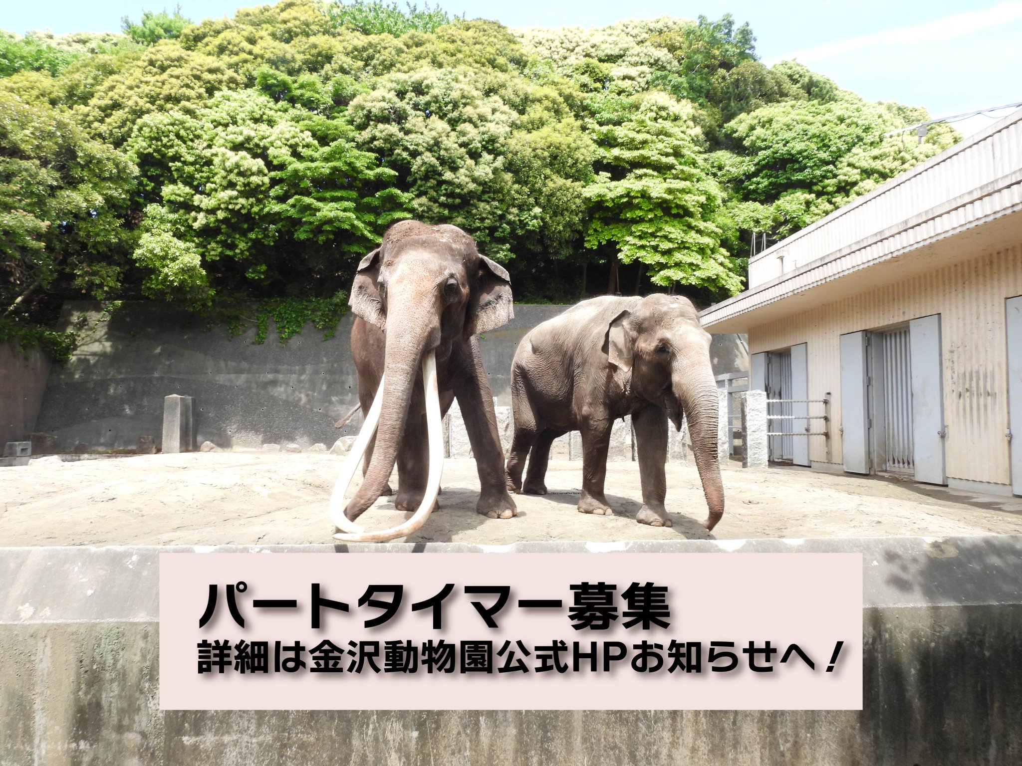 動物園学 動物園学 | 村田 浩一, 楠田 哲士 |本 | 通販 | Amazon
