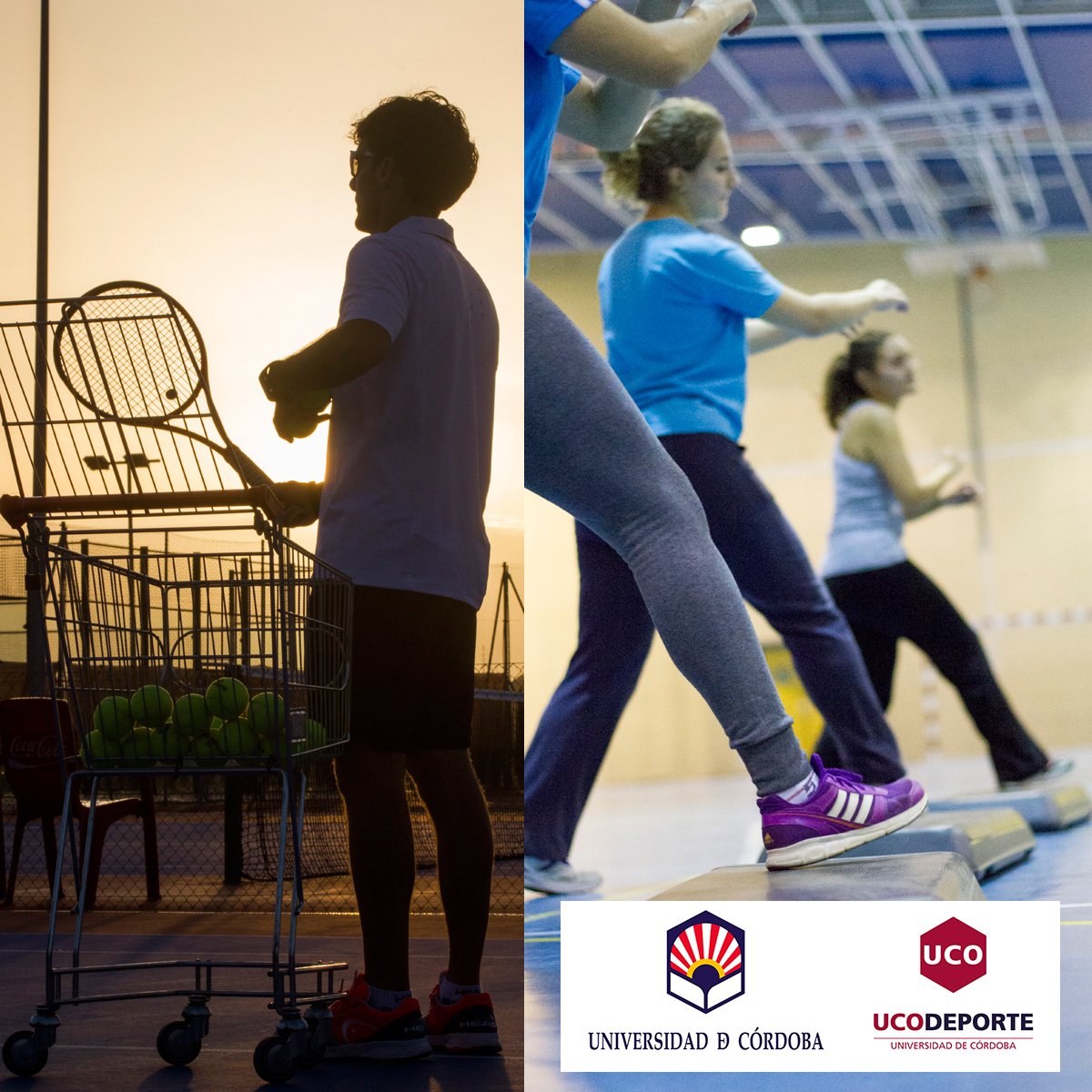 #UCOdeporteInforma
Actividades dirigidas curso 2025/2026: nueva actividad de acondicionamiento físico y nuevos grupos de tenis en Rabanales.

Consulta toda la información, horarios, niveles, precios... en la sección ACTIVIDADES de nuestra web ucodeporte.es