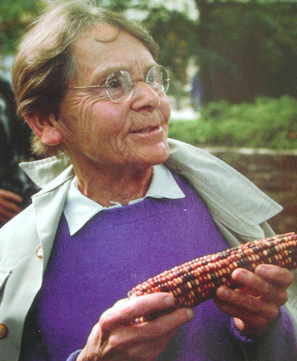 #TalDíaComoHoy en 1992 fallecía Barbara McClintock, pionera de la genética moderna

Sus estudios en maíz le llevaron al descubrimiento de los transposones, elementos genéticos móviles que evidenciaron la plasticidad del genoma y su regulación dinámica

Recibió el Nobel en 1983
