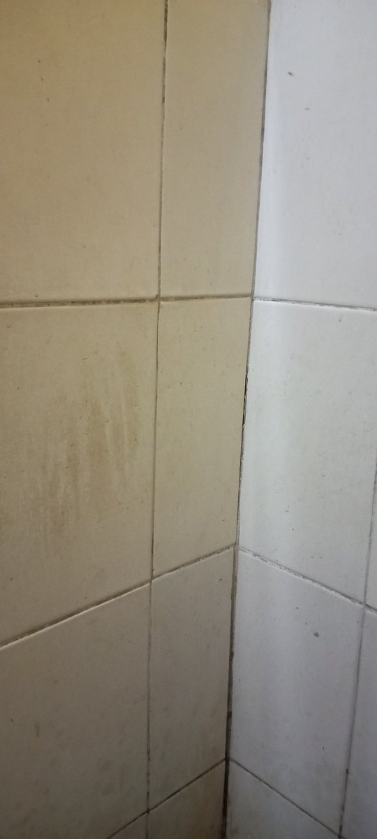 Masih di WC sekolah sendiri sange LG pap atau cs yuk