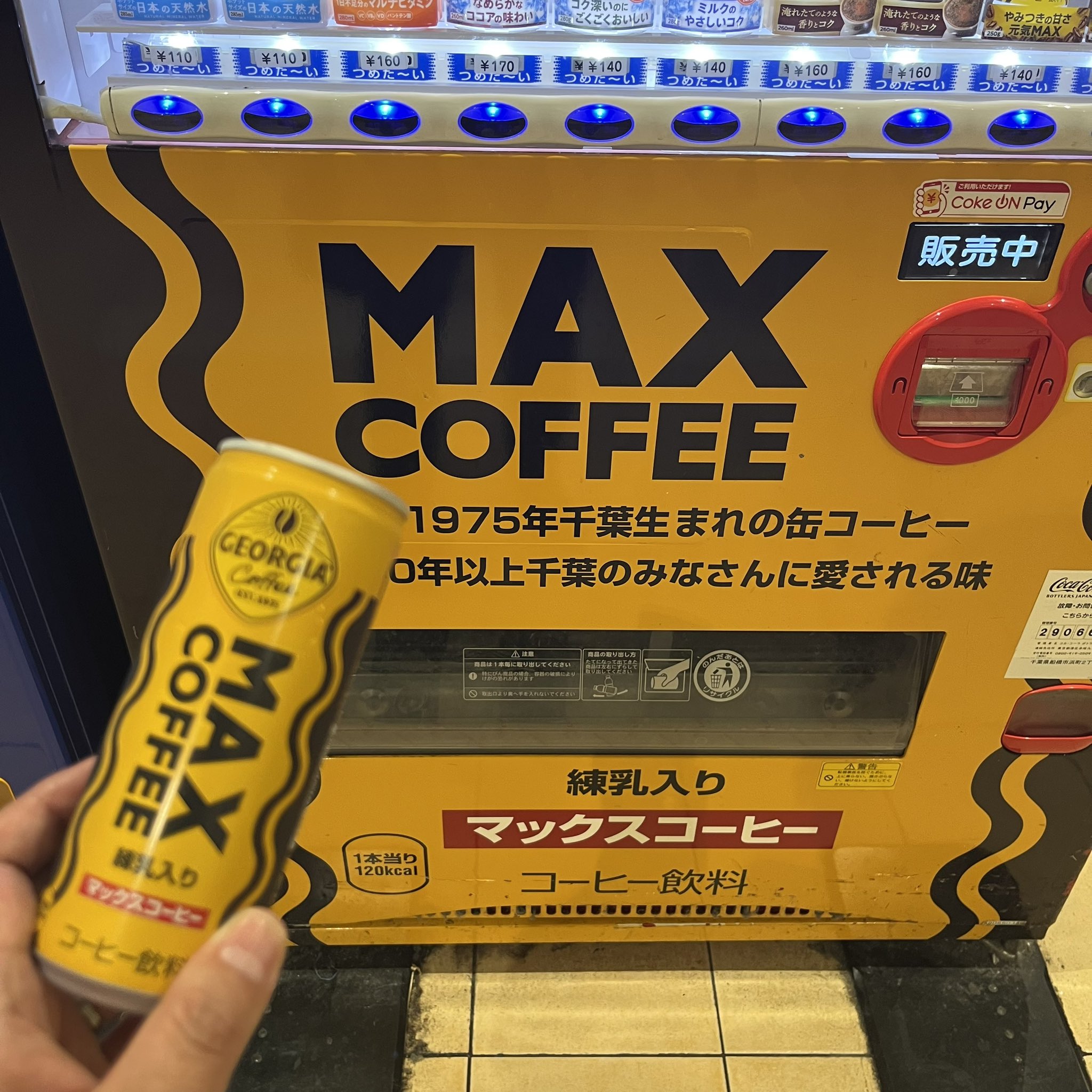 コーヒー myaako chan 8月22日（金）穏やかな時間が流れる富樫本店です🍃 本店は夏休み