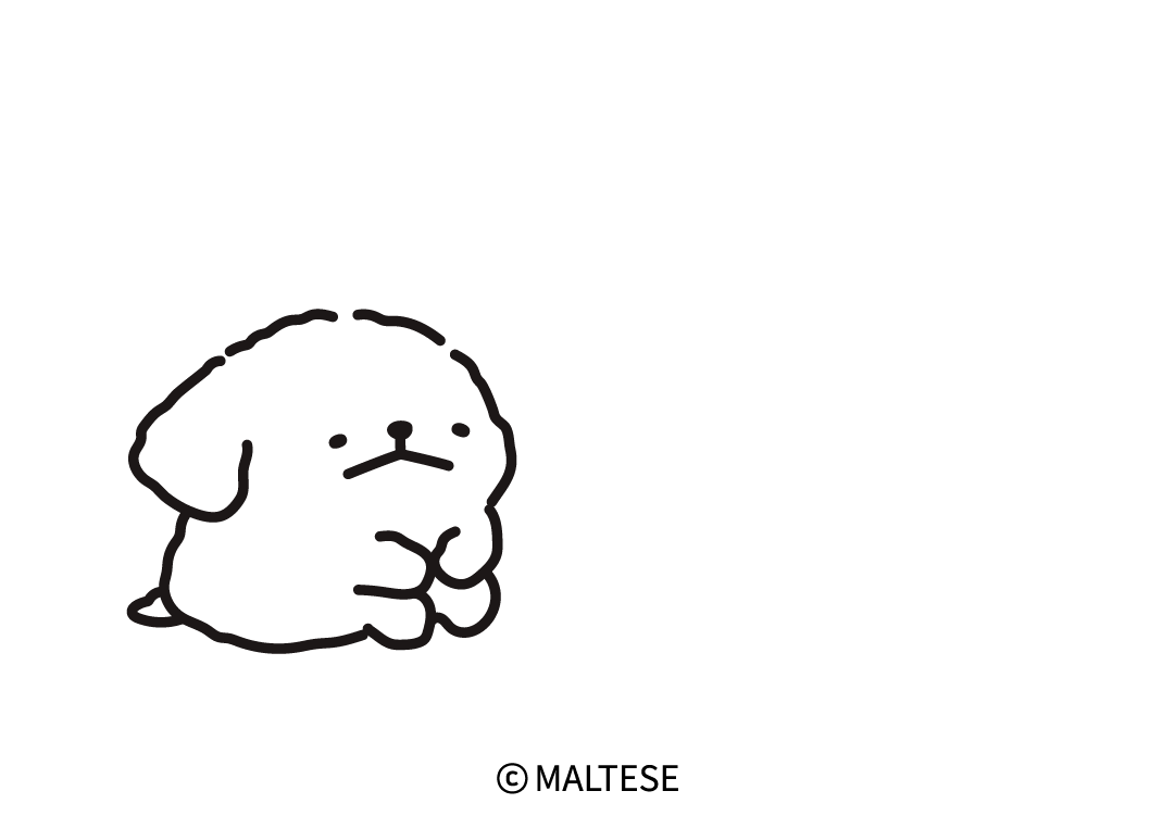 maltese_jp's tweet photo. お守り🧸 https://t.co/ByDXUsbVQ8