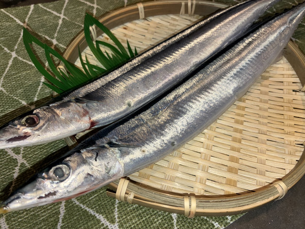 お刺身出品 刺身 - Search / X